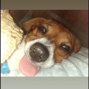 Meet your Posher, Kelsey